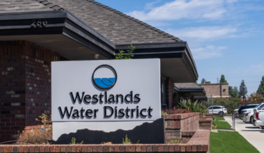Not all Fresno County water board races – even the giant Westlands Water District – will be on the ballot. Here’s why
