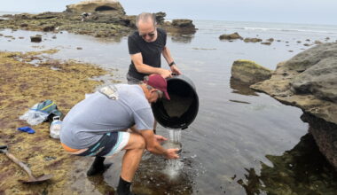 Scientists are building a 'Noah’s ark' of California’s tide pools. It will live here in LA