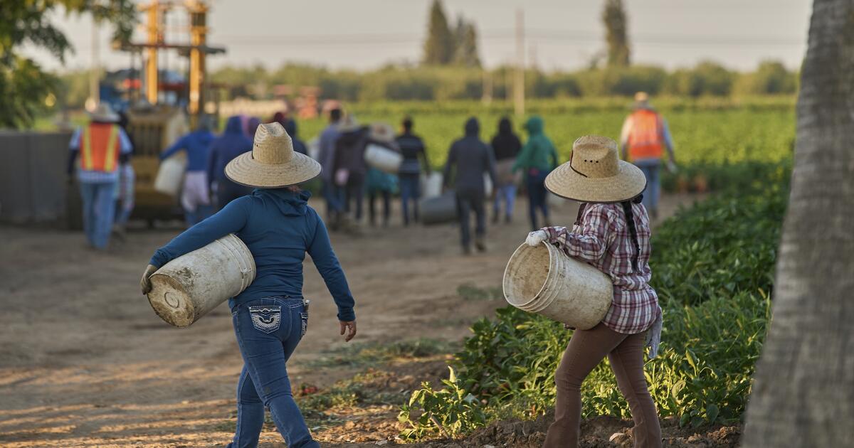 California counties monitoring for measles in Arizona farm workers