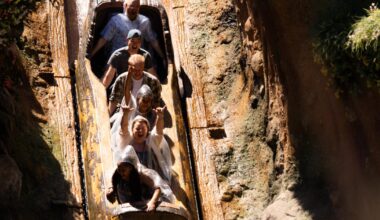 Disneyland warns not to stand up on its log-flume ride or risk getting booted from the park