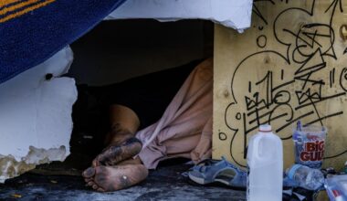 Where is L.A.'s homeless money going? $1.6 million over 2 years to shelter CEO offers a glimpse