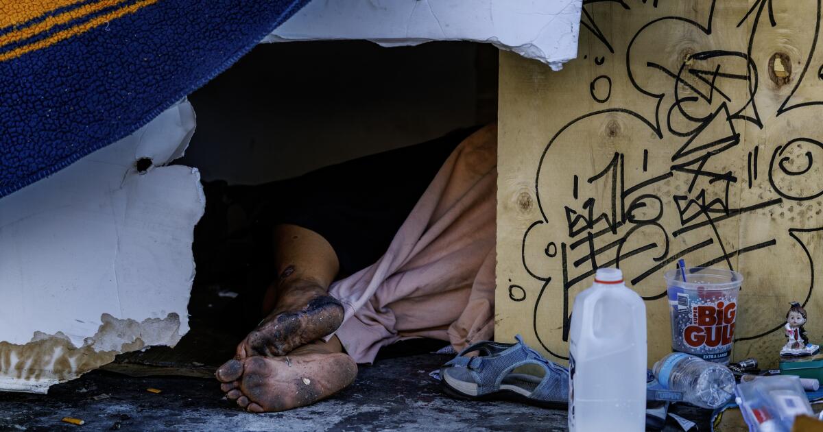 Where is L.A.'s homeless money going? $1.6 million over 2 years to shelter CEO offers a glimpse
