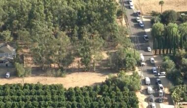 Man shot and killed by deputies after firing at Edison employees, authorities say