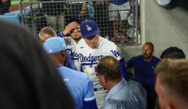 Dodgers' Freddie Freeman appears to avoid serious injury in fall down dugout steps