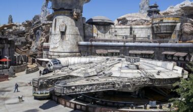 Disneyland's 70th party is over. At D23, the park looks to the future