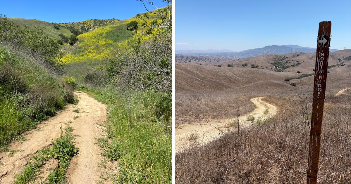 Before and after photos of Chino Hills show toll of drought and heat