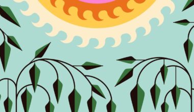 The pros and cons of planting native plants midsummer