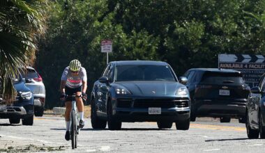 Bass hit brakes on new bike lanes near Forest Lawn. Raman is slamming her for it