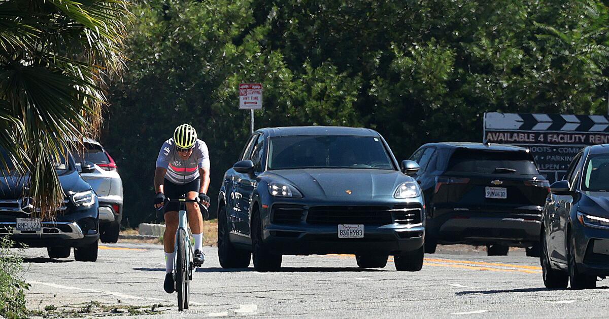 Bass hit brakes on new bike lanes near Forest Lawn. Raman is slamming her for it
