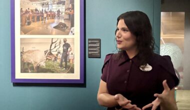 Anaheim exhibition explores the relationship between Disney animators and live-action actors, animals, props