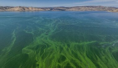 California will track climate-warming gases from reservoirs