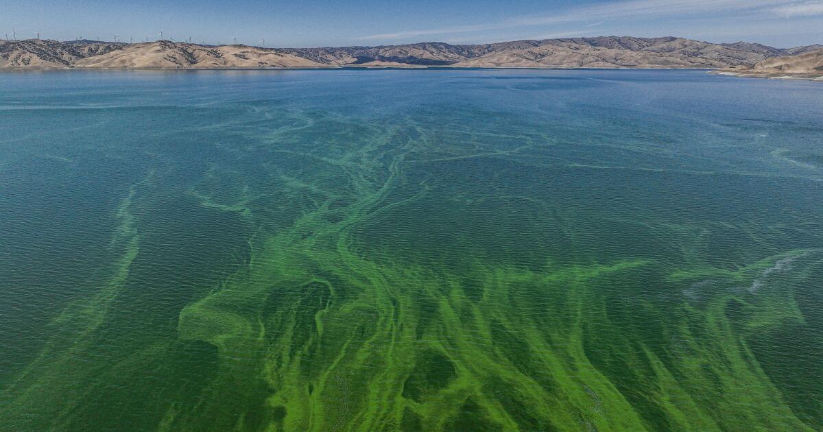 California will track climate-warming gases from reservoirs