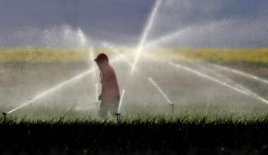 California to phase out paraquat, a weedkiller associated with serious health issues