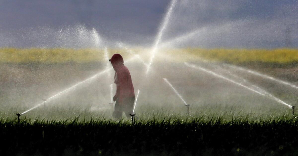 California to phase out paraquat, a weedkiller associated with serious health issues
