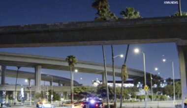Motorcyclist takes fatal fall over edge of 105/110 freeway interchange in Los Angeles