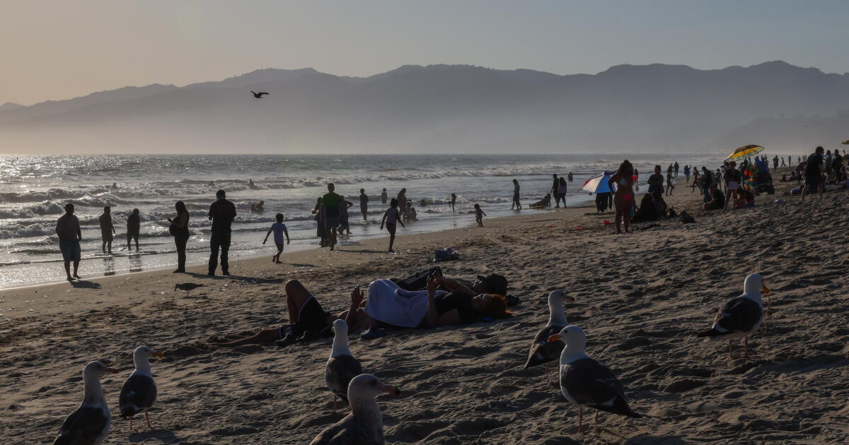 Commentary: Gov. Newsom backs off from shameful gambit, and it's a victory for California coast