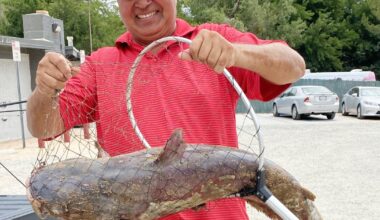 Massive 'scale-breaking' catfish caught in Southern California lake; 'Catzilla' still on the loose