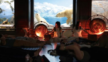 Taxidermy sound bath? It just works at the Natural History Museum