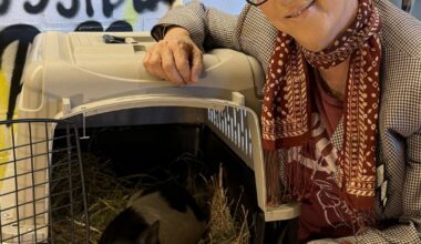 Diane Warren adopts viral West Hollywood pig Wilbur