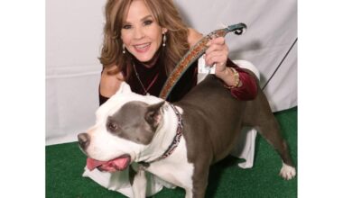 'The Exorcist' actor Linda Blair’s home and dog kennels searched by L.A. County officials
