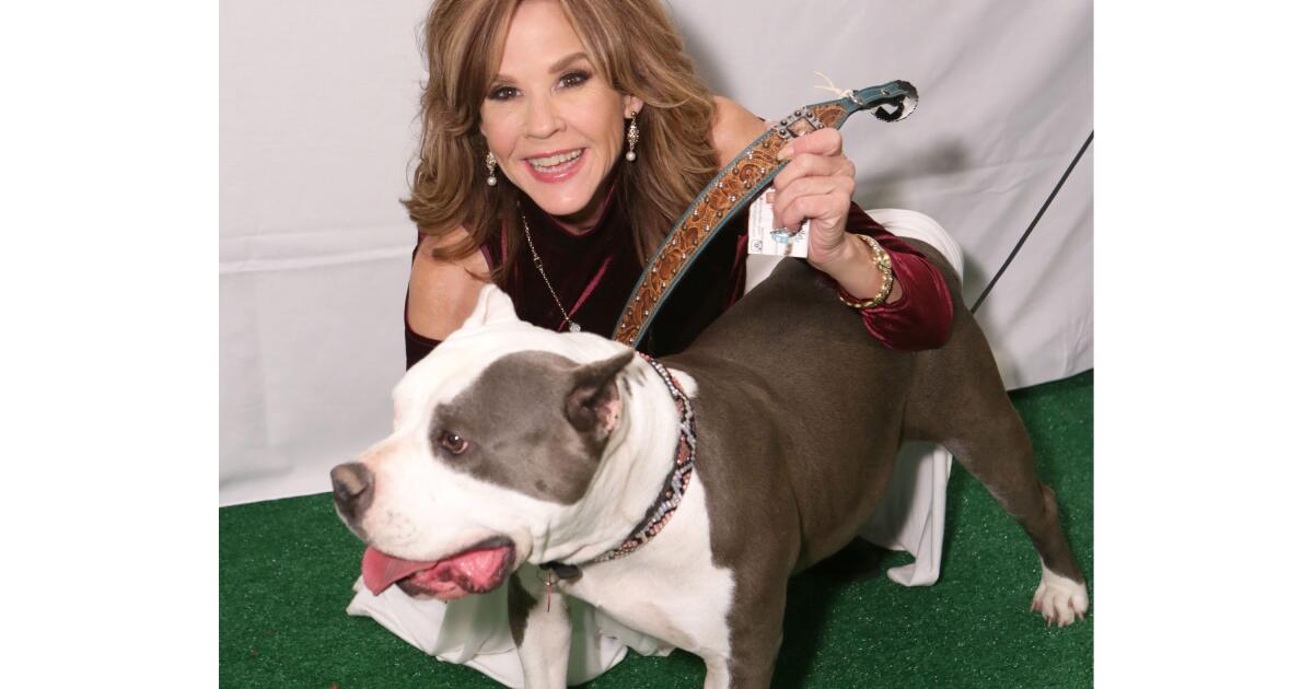 'The Exorcist' actor Linda Blair’s home and dog kennels searched by L.A. County officials