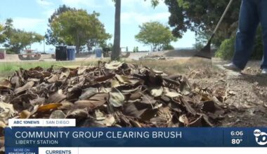 Volunteers clear brush at NTC Park to reduce San Diego wildfire risk