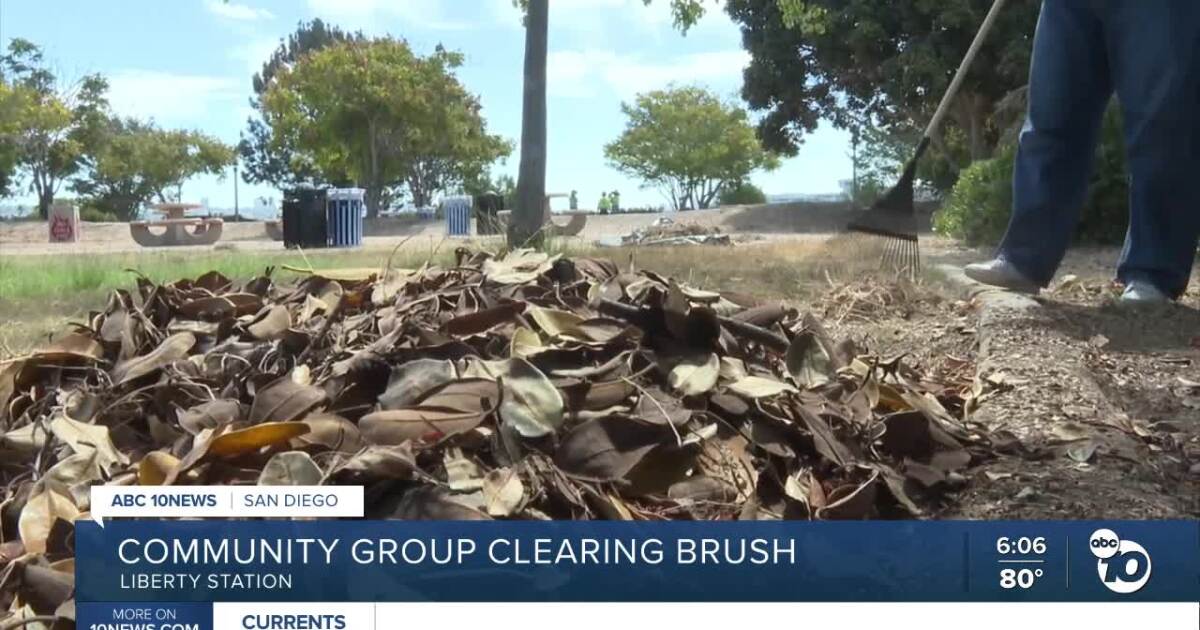 Volunteers clear brush at NTC Park to reduce San Diego wildfire risk