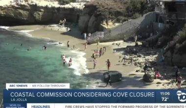 Should the City of San Diego close La Jolla Cove to protect wildlife?