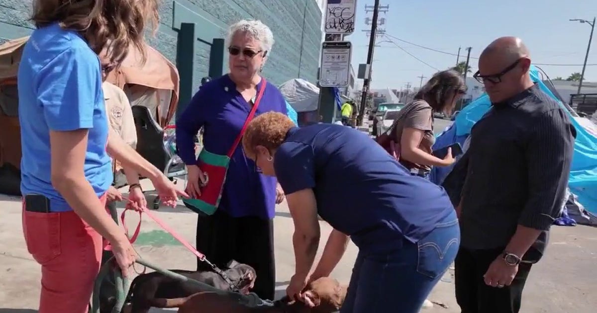 Los Angeles mayoral candidates face calls for action on Skid Row animal welfare
