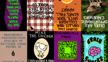 San Diego’s Zine Scene Has No Rules