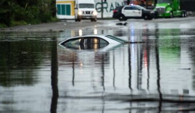 How to report clogged drains or downed trees and spot flood-prone areas in your neighborhood • Long Beach Post News