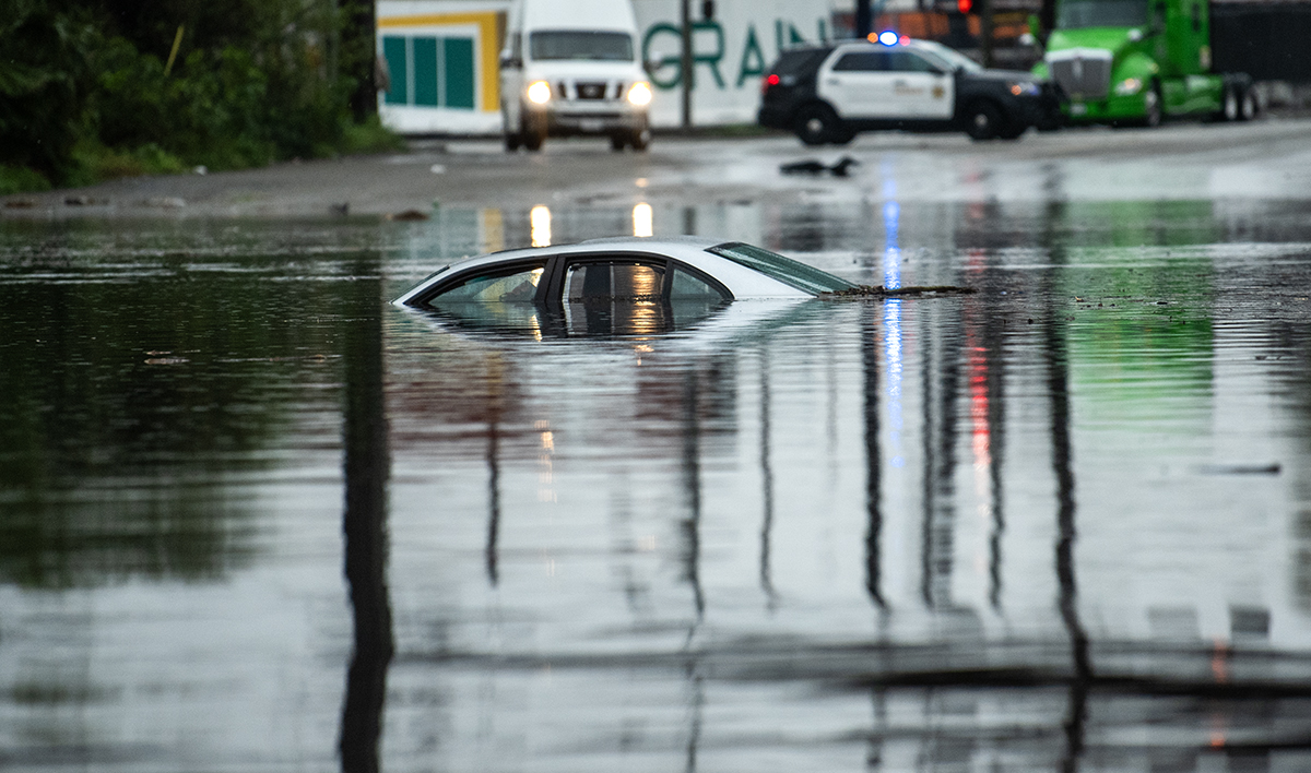 How to report clogged drains or downed trees and spot flood-prone areas in your neighborhood • Long Beach Post News