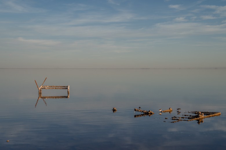 Rusty pieces of metal stick out of a calm body of water.