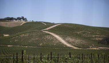 CA's key economic sectors confront existential threats