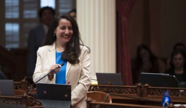 CityWatch LA - Sacramento Has Plenty of Power. What California Needs Is Responsibility