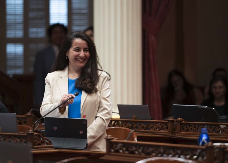 CityWatch LA - Sacramento Has Plenty of Power. What California Needs Is Responsibility