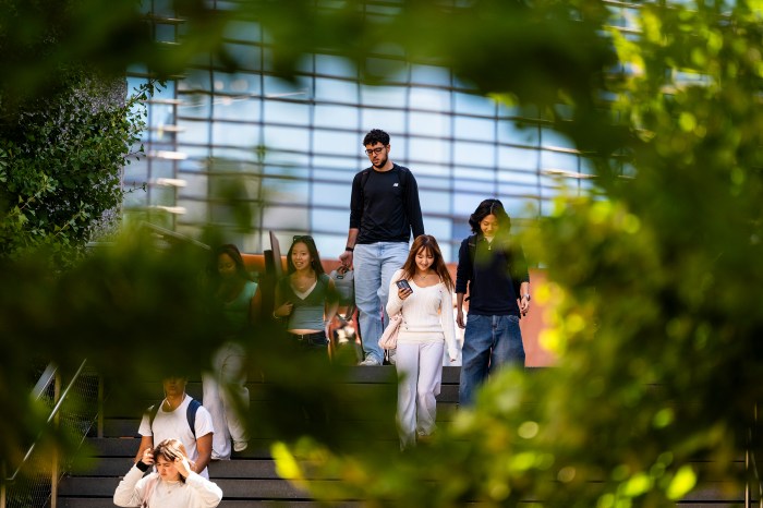 A group of students walk together on a campus pathway, framed by out-of-focus green leaves.