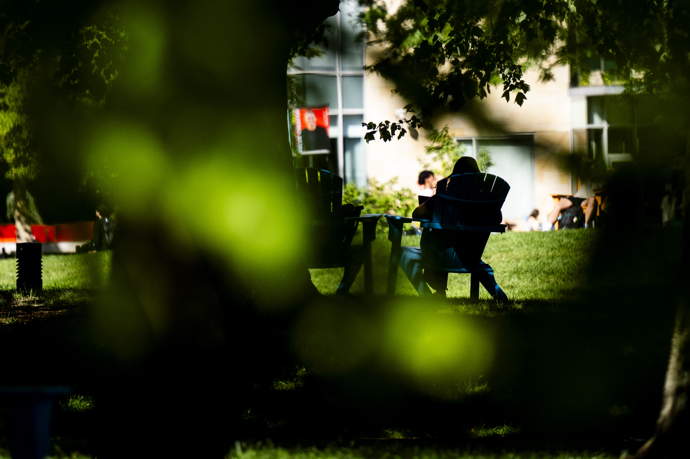 Students relax in Adirondack chairs on a campus lawn, framed by out-of-focus green leaves.