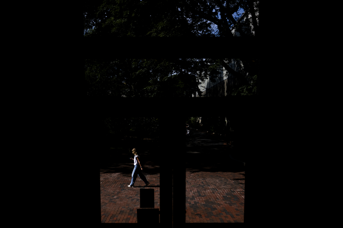 A person walks beneath shaded trees on campus, seen in silhouette.