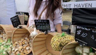 Long Beach Peninsula garlic fest keeps growing in popularly