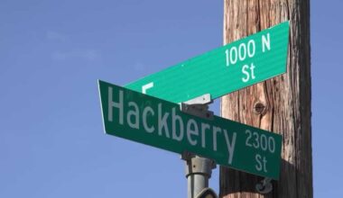 Stockton man arrested in deadly stabbing of his 72-year-old mother