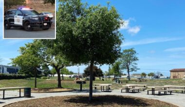 California mass stabbing at park leaves 3 injured over holiday weekend
