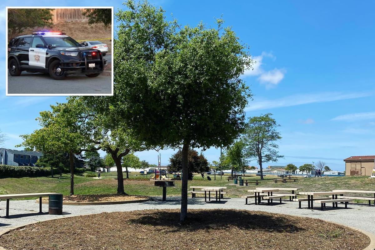California mass stabbing at park leaves 3 injured over holiday weekend