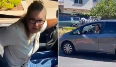 California ‘racist Karen' accuses dad of sex-trafficking daughter in video