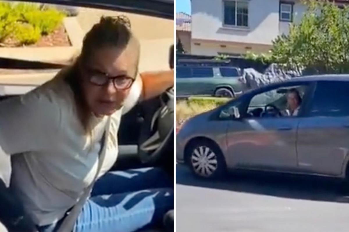 California ‘racist Karen' accuses dad of sex-trafficking daughter in video