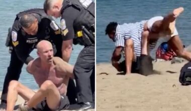 SF man walking dog caught in violent Crissy Field beach brawl