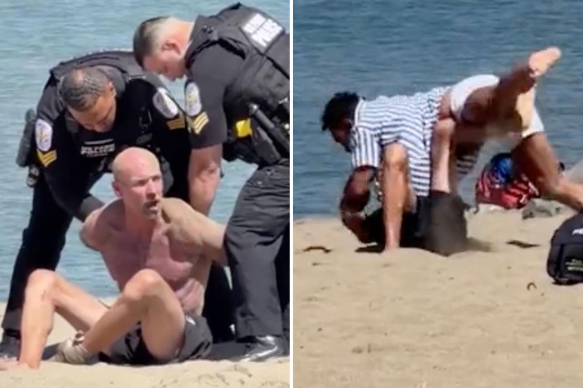 SF man walking dog caught in violent Crissy Field beach brawl