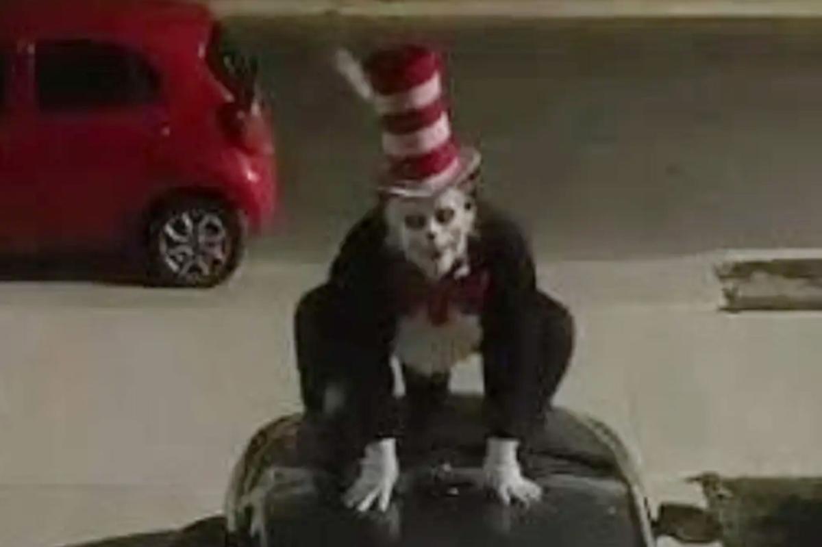 Terrifying 'Cat in the Hat' trend targets California school kids