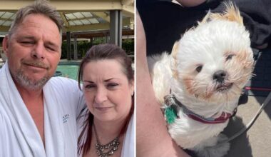 California boater dies after leaping off vessel to save his dog