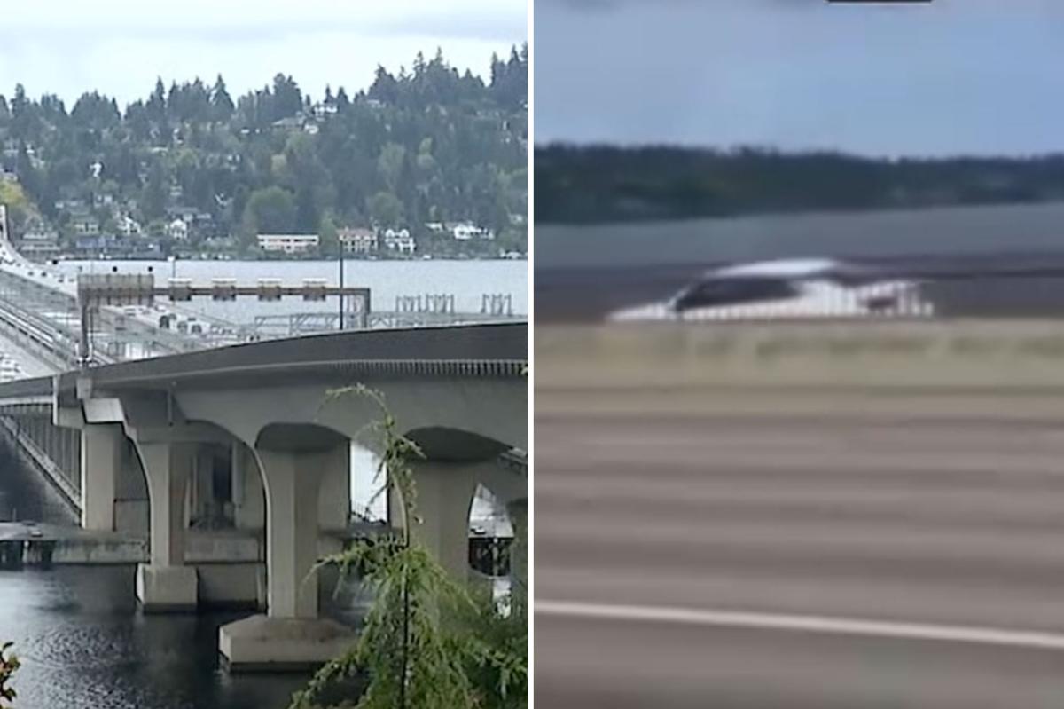 Wild driver who sped down separated bike lane on California freeway under investigation